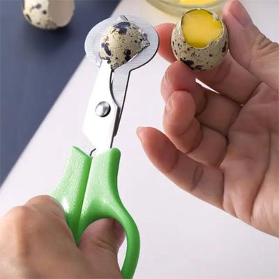 Coupe oeuf compacte