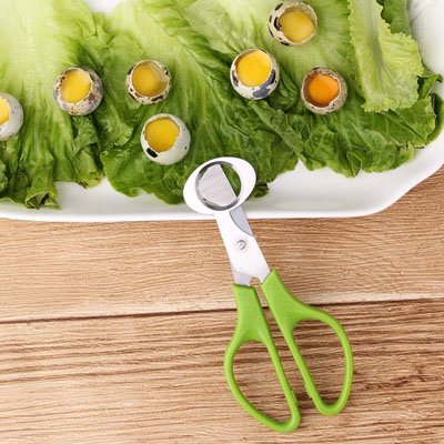 Coupe oeuf en acier inoxydable