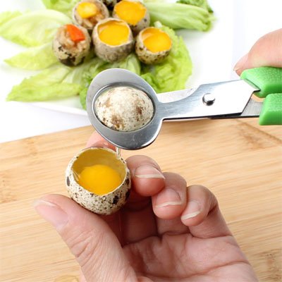 Coupe oeuf pour petits oeufs