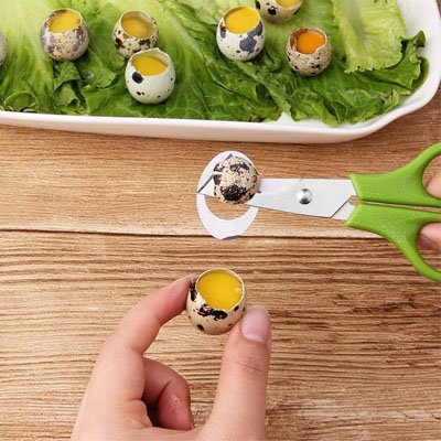 Coupe oeuf usage rapide