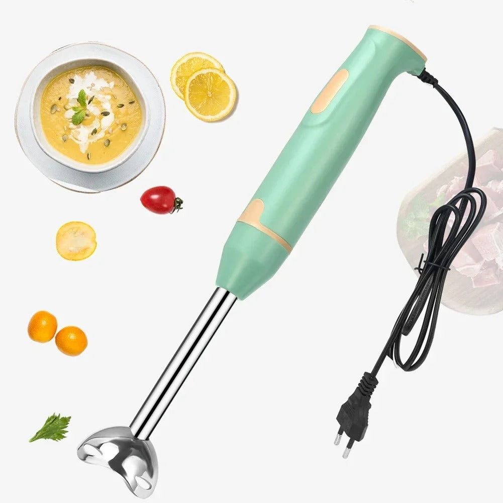 mixeur plongeant professionnel variante