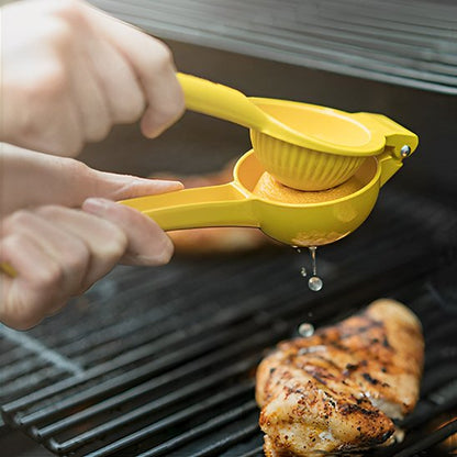 Presse agrume manuel barbecue delice