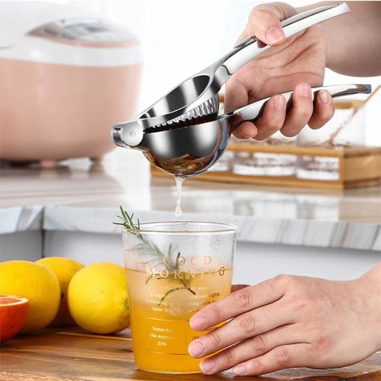 presse citron manuel compacte