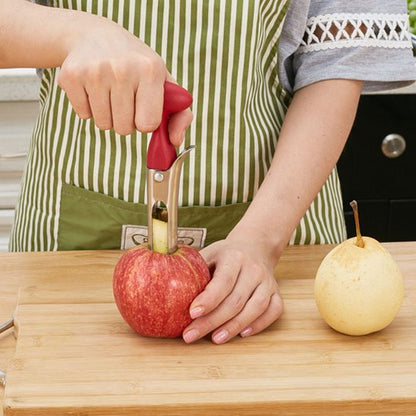 vide pomme facile d utilisation