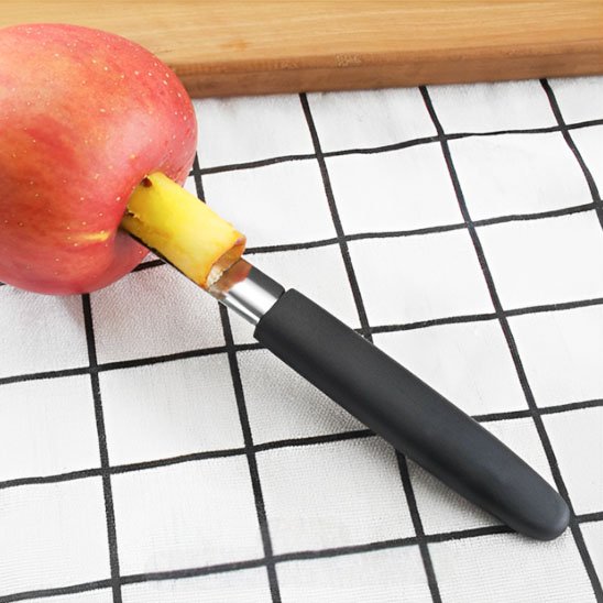 vide pomme usage facile